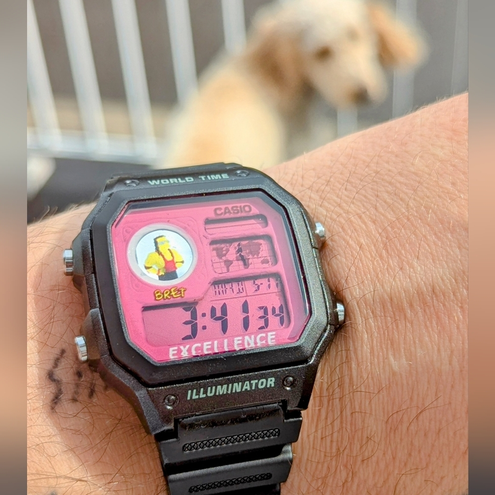 CASIO Bret Simpson ROYALE ae1200 Custom Mod W/Hydromod